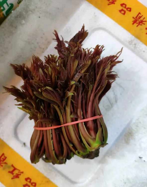 100元一斤的香椿？广州“天价野菜”引热议“这菜莫不是镶金了？”在广州天河