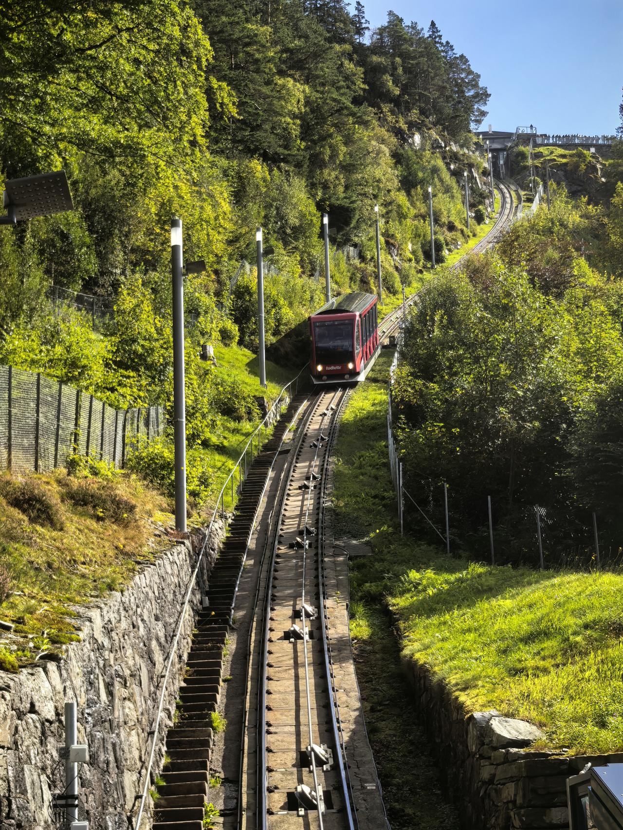 2024-6挪威卑尔根的森林挪威卑尔根市弗洛伊恩山（MountFløyen