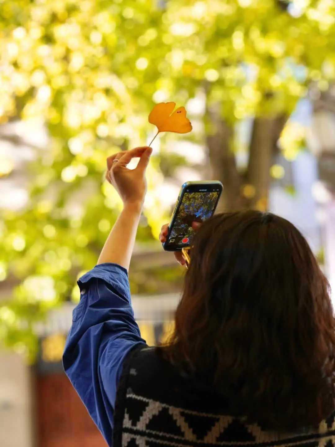 现在的年轻人真是让人难以理喻现在的年轻人真是让人难以理喻家里一个亲戚的女