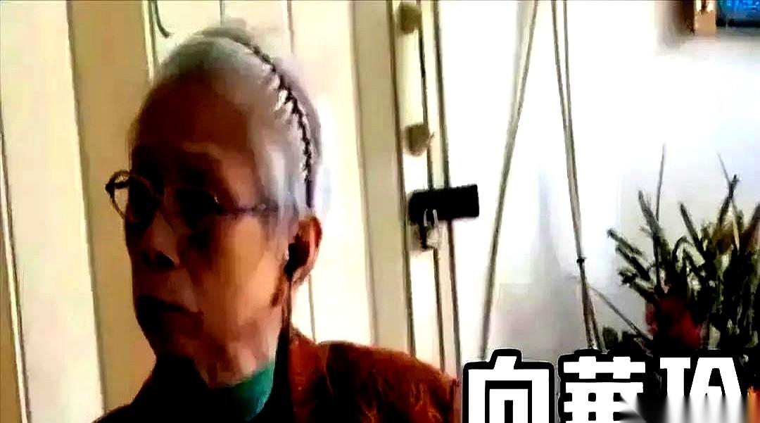 向家大哥走了，全港轰动。镜头一转，上水，一栋旧公屋。一个93岁的老太太，拄着拐