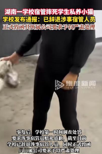 “严查到底！”12月15日，湖南湘西，一宿管查寝时，发现一名学生在宿舍私养小猫，