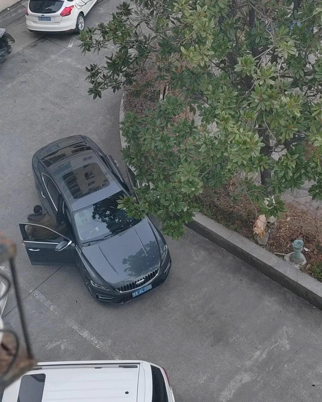 不擅长的事真的不要硬做比如：开车不是不求上进，而是不想害人性命之所以拿了驾