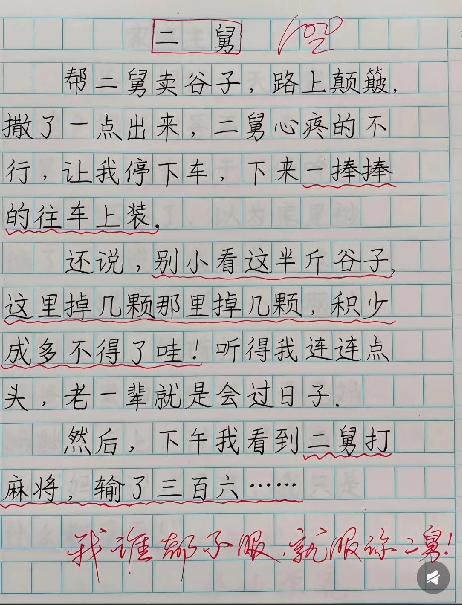小学生写二舅的作文绝了，心疼半斤谷子却输360，评论区笑疯