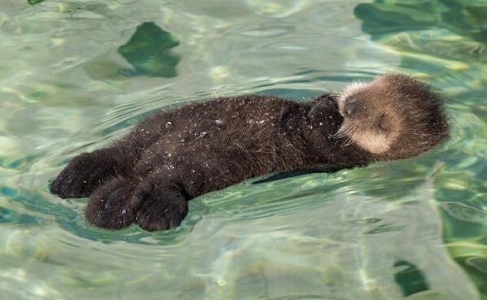 zzzzzzzz​​​