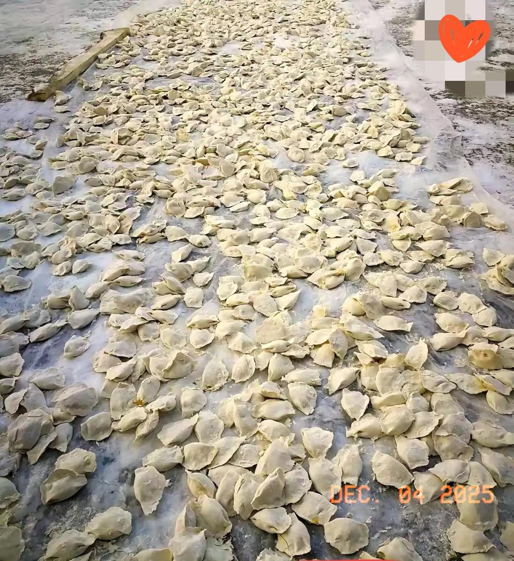 笑不活了！东北邻居组团包饺子，院子里摆满地，冻得杠杠的才叫香。东北农村一入冬，