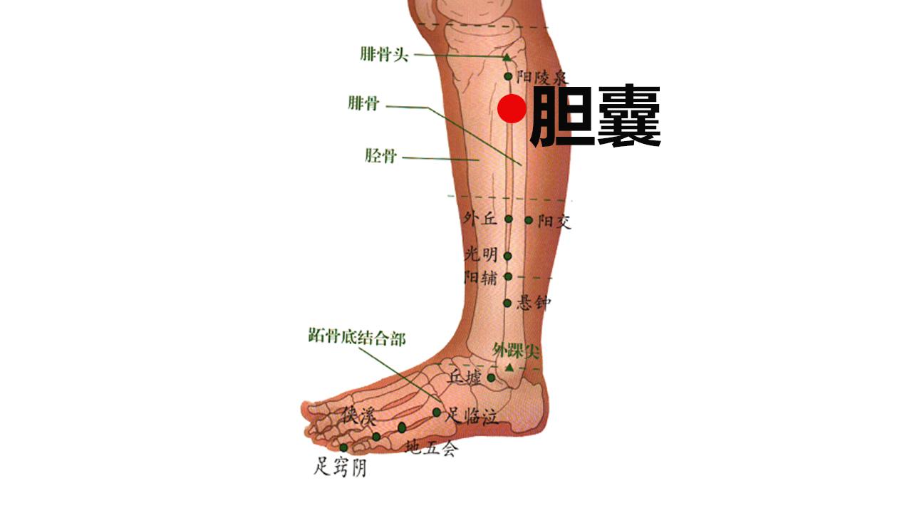 下面健康哥给你分享如何通过艾灸来调理胆囊炎 我们选灸①肝俞,胆俞