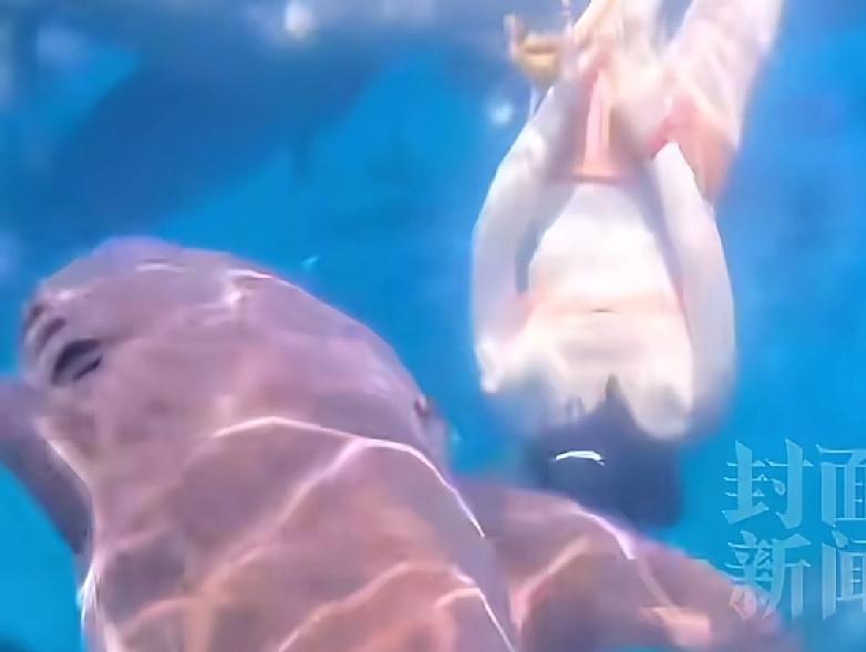 发生这样的事情，竟然拿到网上炫耀，是没上过学还是其他原因？一位女子在马尔代夫潜