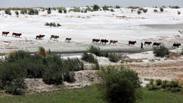 “水仗”再起? 巴基斯坦求助外国使节, 印度连续三天不回应