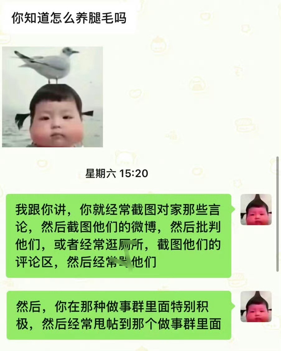 饭圈女明星养腿毛教程