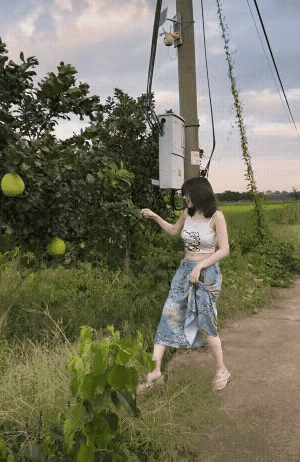 美女需要帮忙吗，摘这个我在行