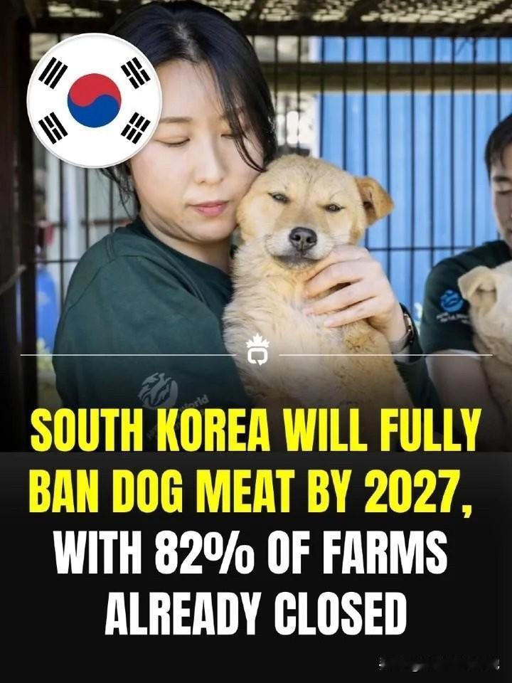 截止到今年5月份，韩国关闭的犬肉农场已经达82%。目前剩下的农场还有约300家，