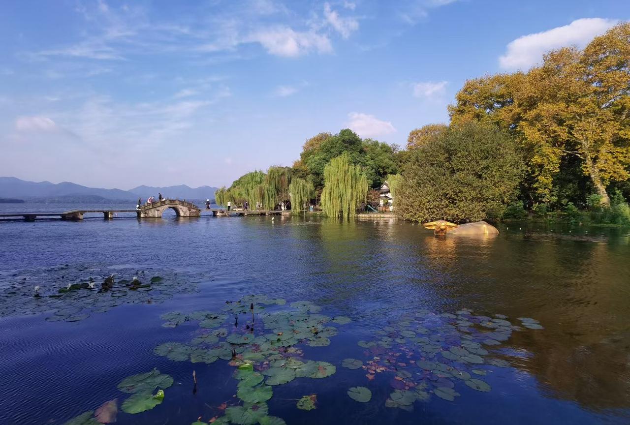 我超享受独处的日子。人到中年，愈发觉得独处是种奢侈的自在。饭后不刷手机，在阳台