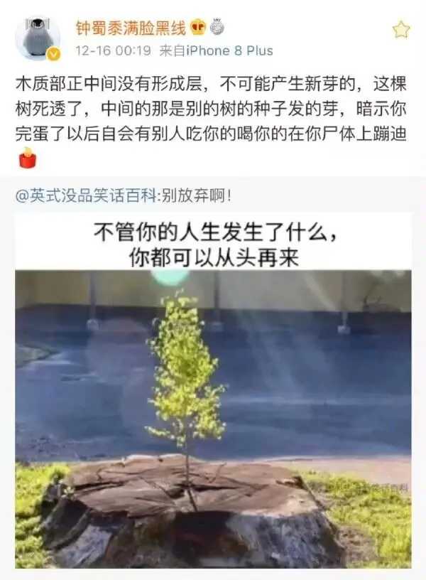 现在的鸡汤真没法活