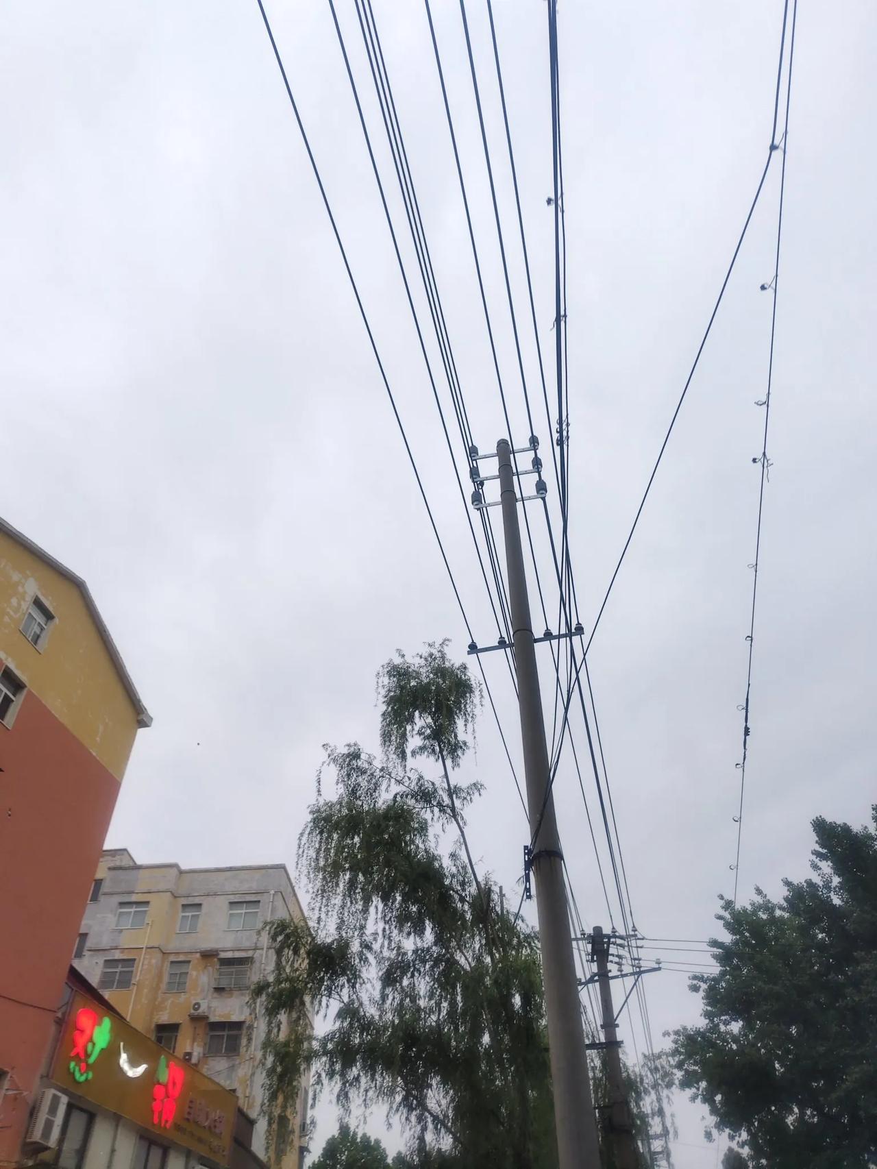 预报的下雨又没有戏了，今年我们河南这边雨水好像特别欠缺似的。然后麦子很是干旱，光