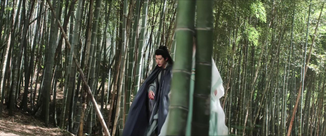 《雀骨》最后没有让萧无衣靠一个拥抱突然恢复记忆，这点我挺喜欢。他从战场上捡回一
