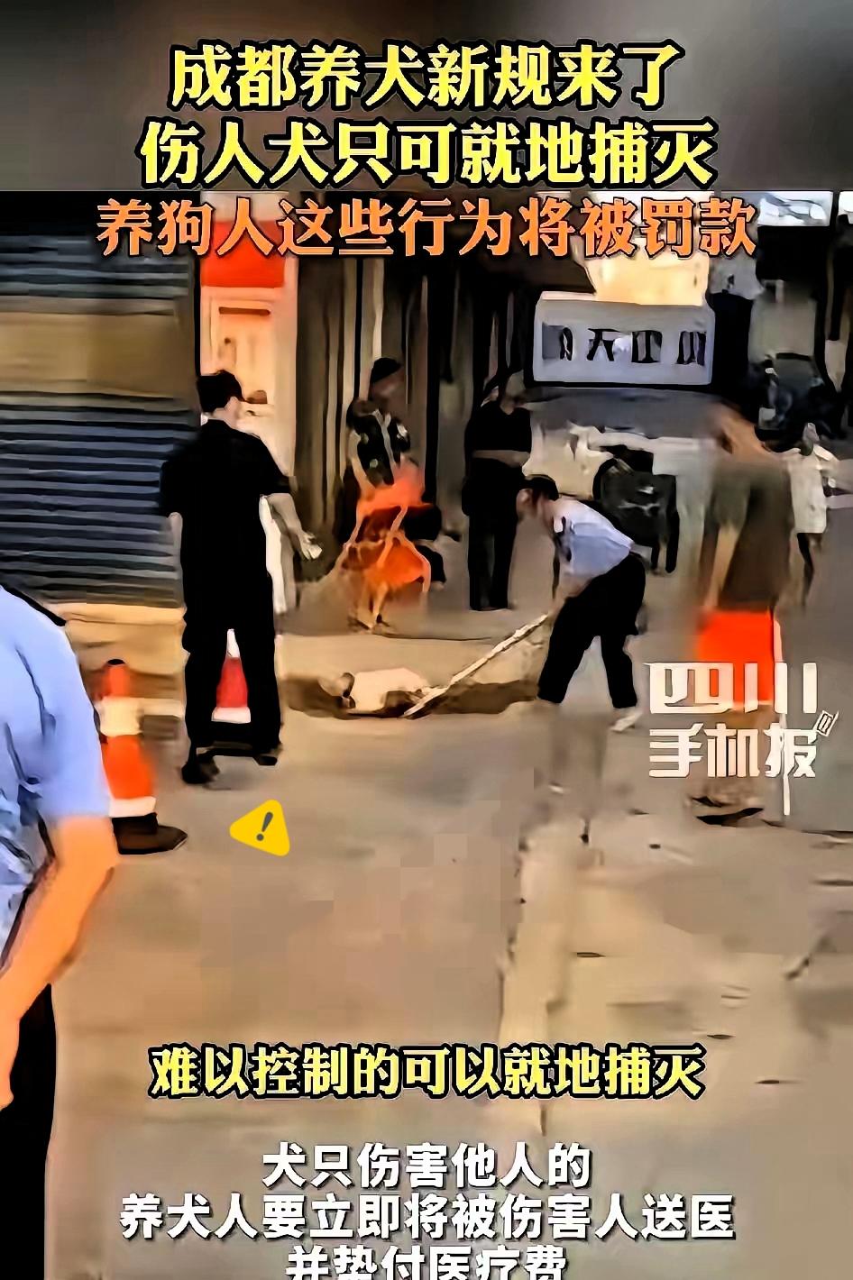成都的养狗新规太给力了！狗咬伤人，狗主必须带伤者去医院检查，并且承担费用；狗遛