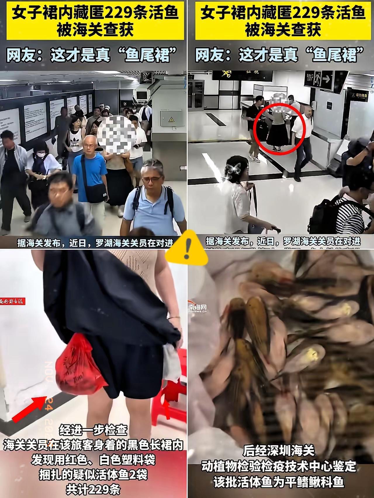 近日，一则消息引起广泛关注，不仅在深圳，全国人民都知晓了此事，​女子仅靠两