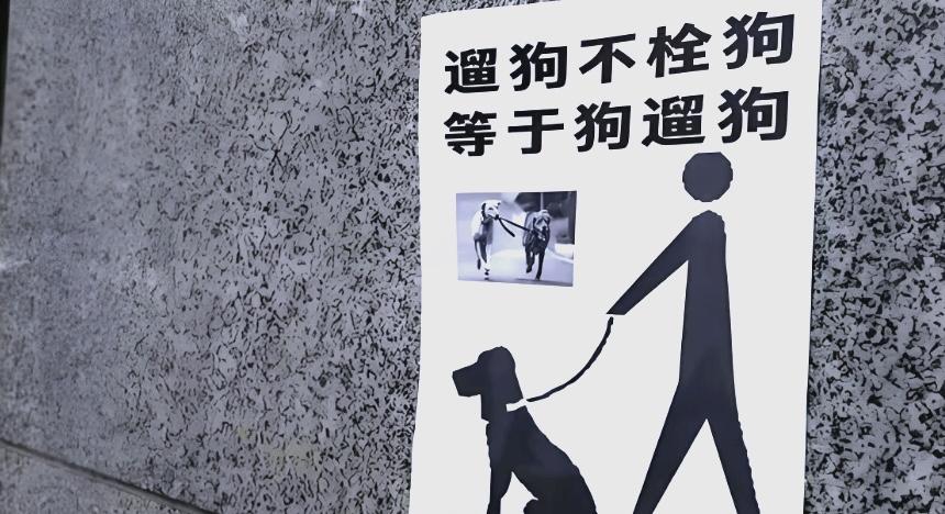 云南楚雄，男子看不惯邻居遛狗总是不拴绳，就指责了几句，邻居听后大发雷霆，一脚将男