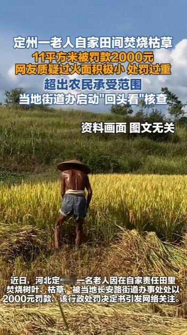 "这也太离谱了！"河北定州，60岁村民王某在自家田里烧了一堆树叶枯草，执法人员赶
