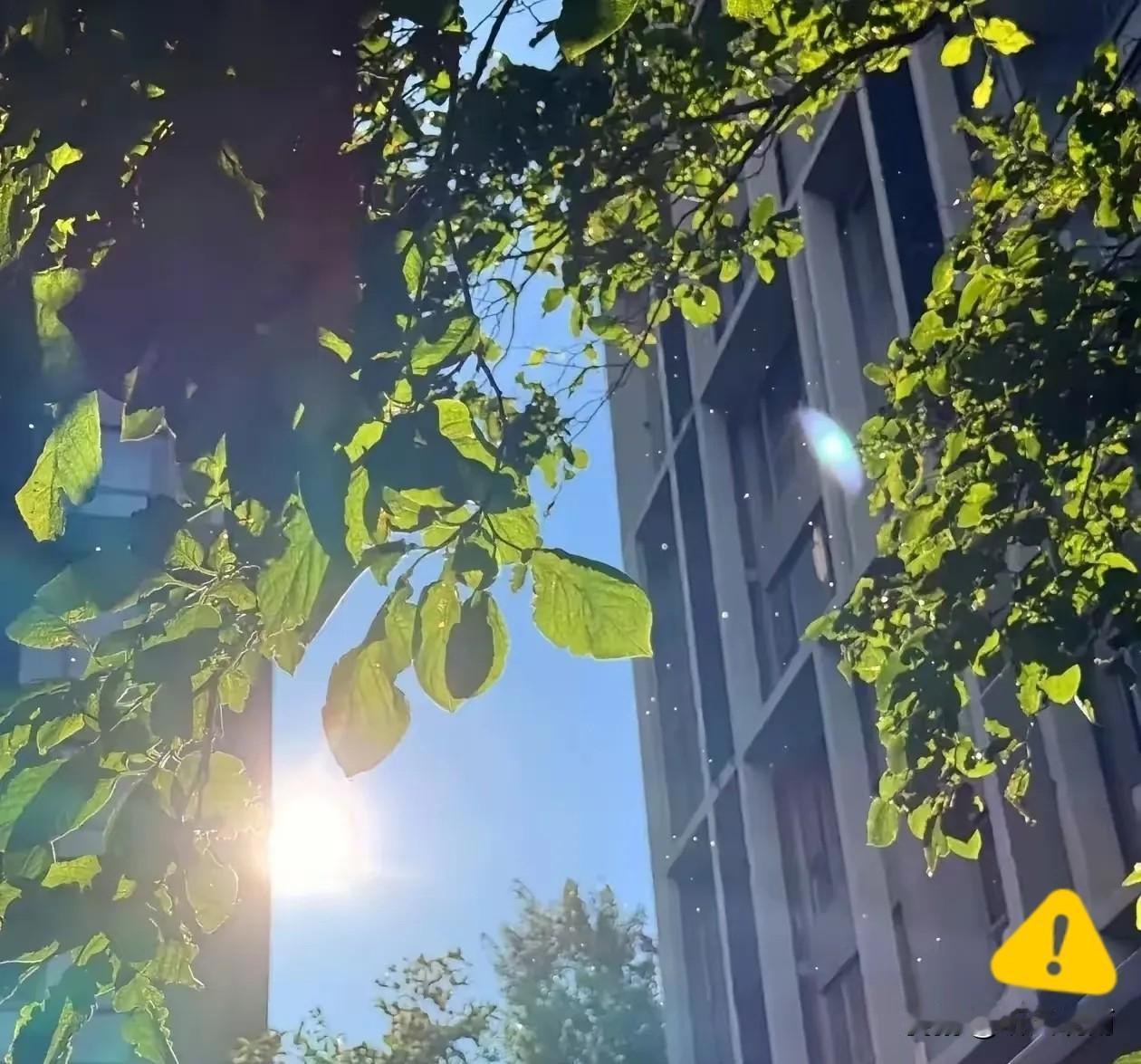 通知大家。大家要做好准备。还有12天，也就是8月14日就正式入末伏了。末伏跟中