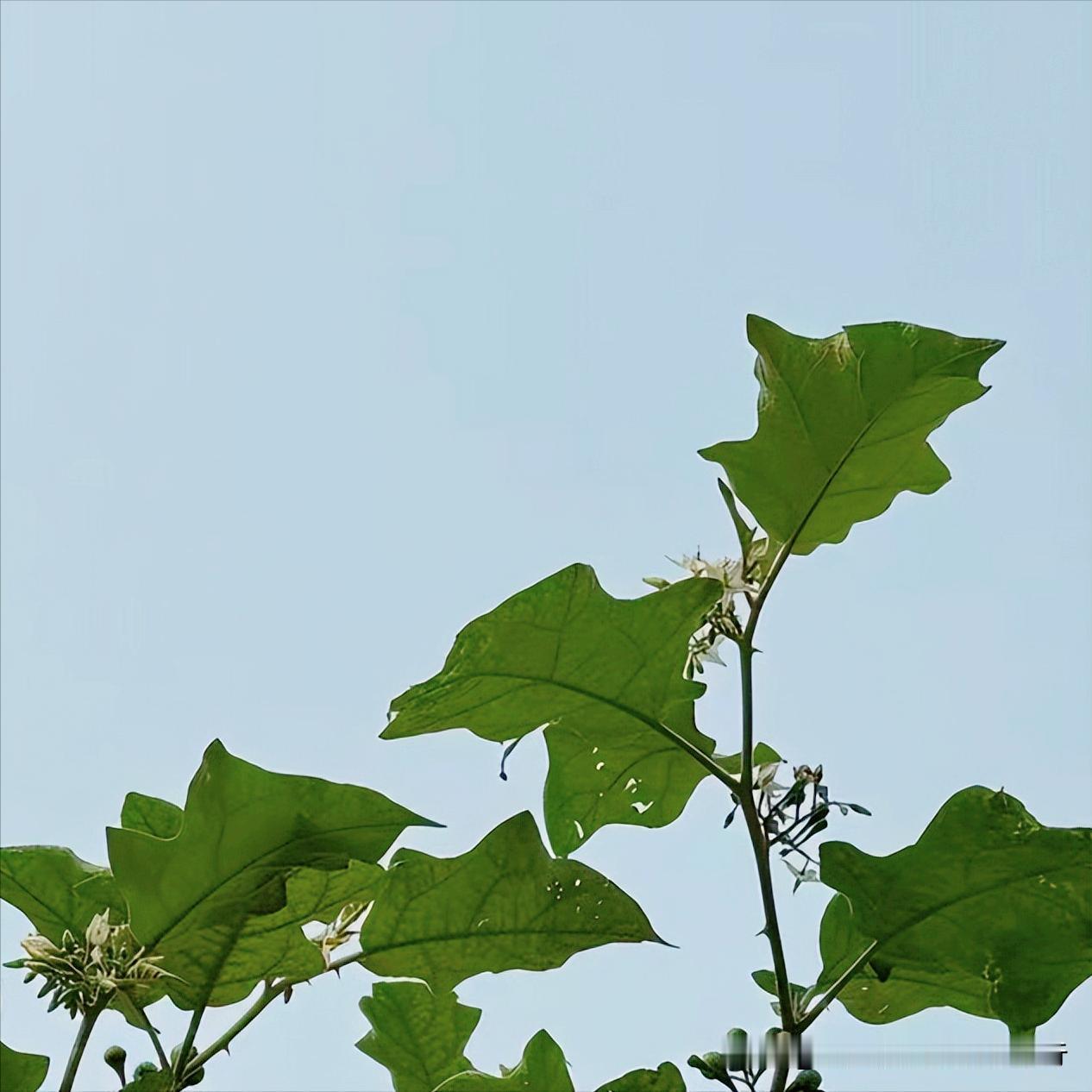 今天下午  中央纪委：执纪审查1人 4月12日下午，该部门执纪审查1人，为