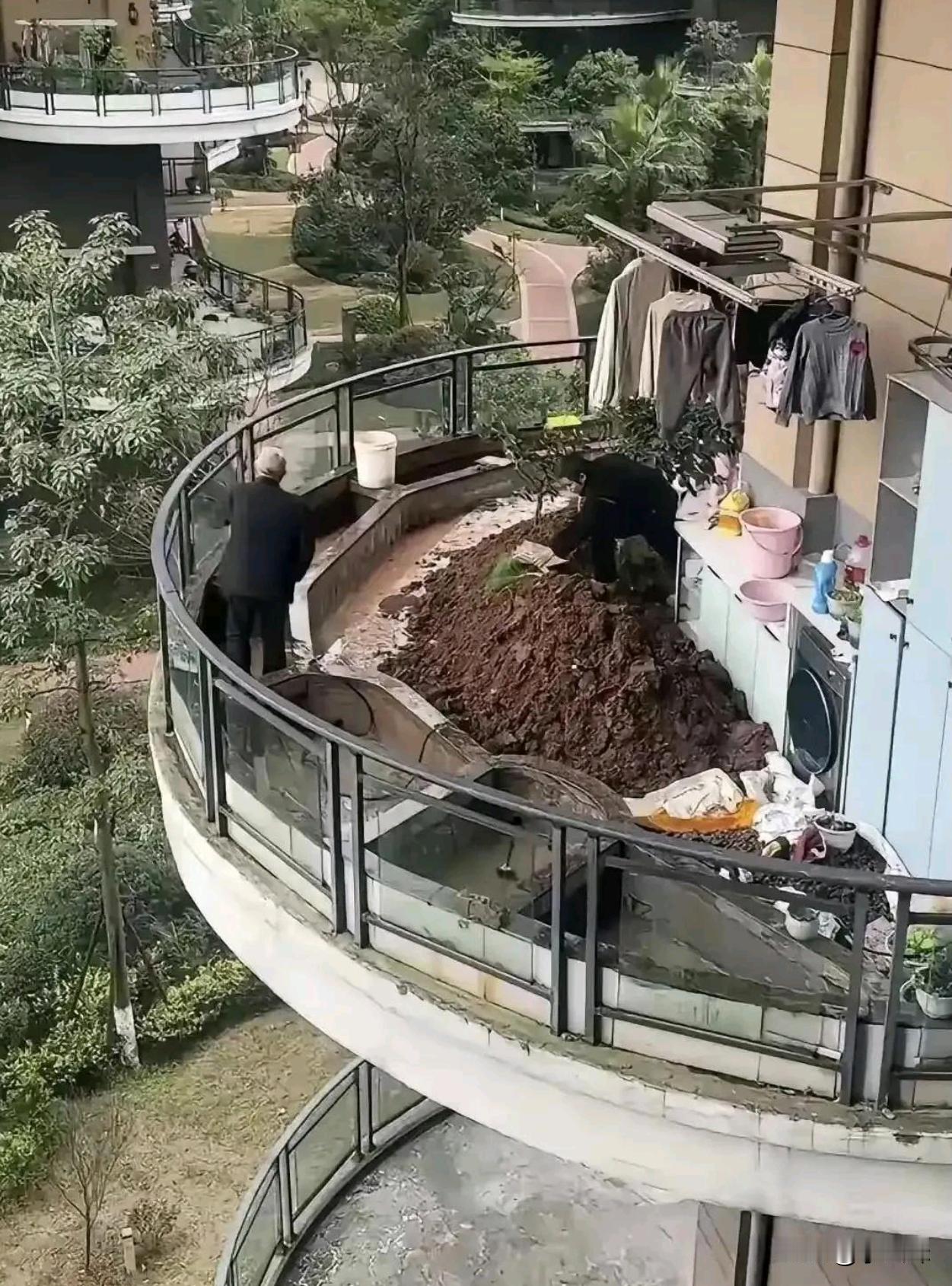 这邻居准备把阳台改成绿化带吗？