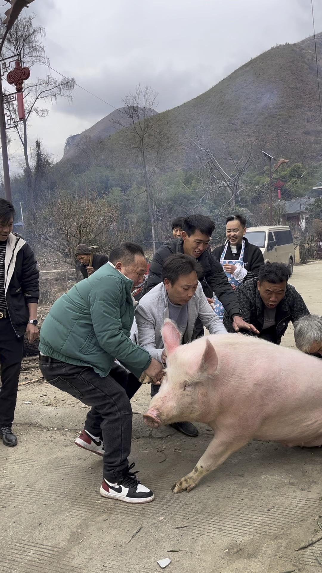呆呆请网友帮忙杀猪，是玩笑话被网友当了真，最后粉丝涨了两百万，流量泼天。而有些