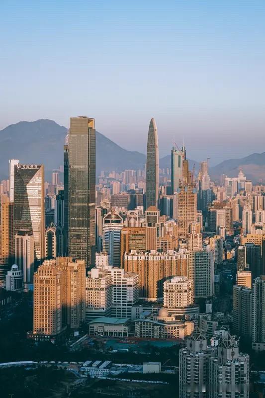 不知不觉，2025年已经步入尾声。回首这一年，关于深圳楼市的未来，有人憧憬，