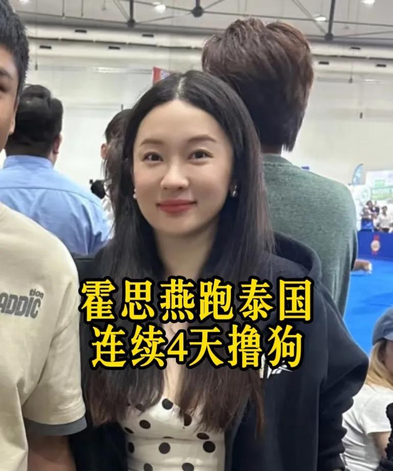 曼谷偶遇霍思燕，发现她居然每天都在这里撸狗！6.26-6.29在泰国Impac