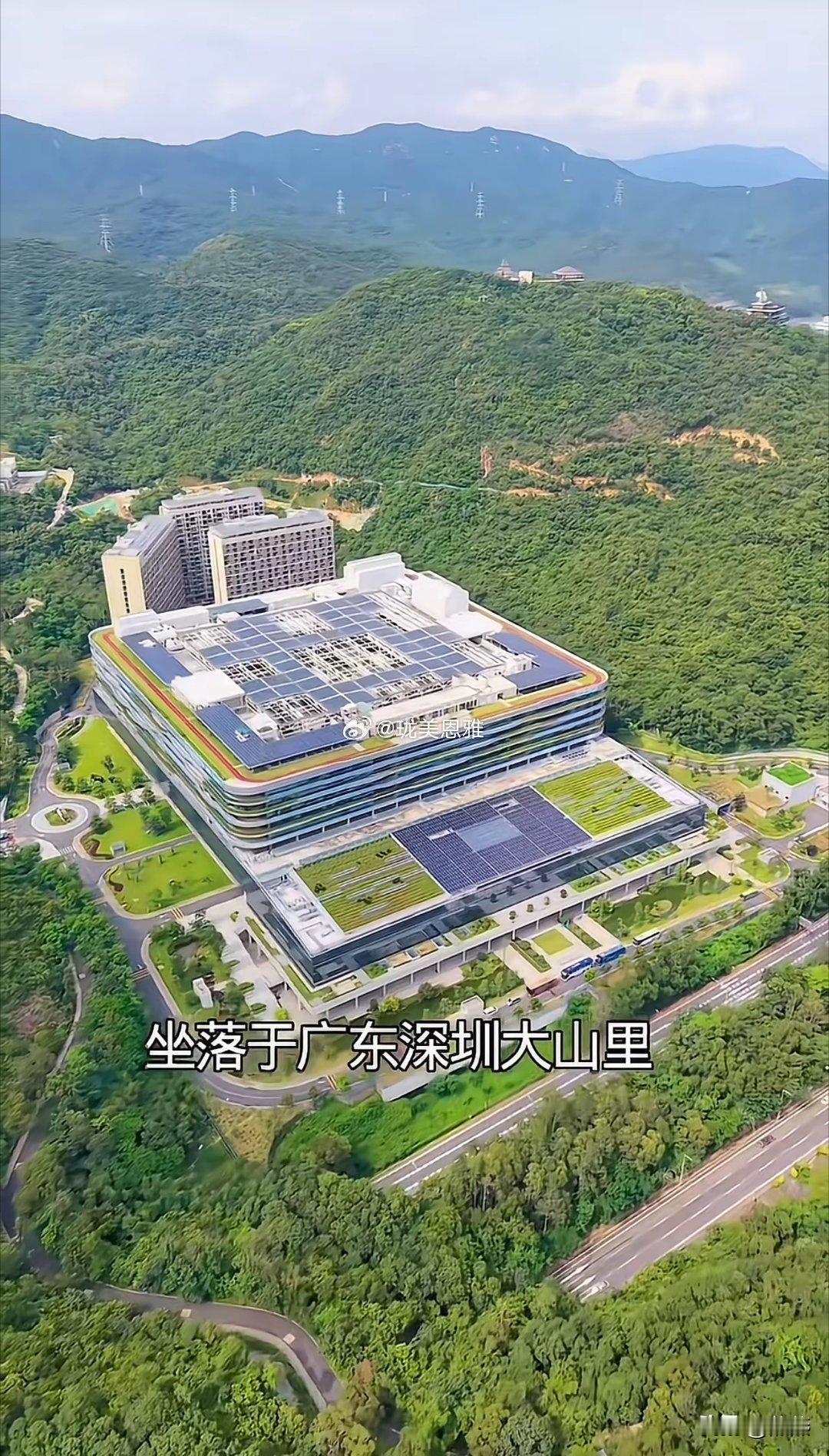 广东深圳大山里，全球最大人类研究所总部耗资30亿，研究人、动物、水稻基因，探索长