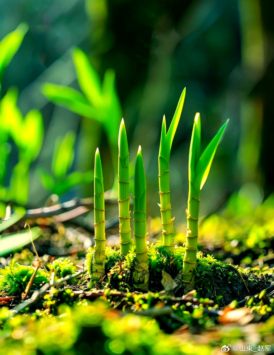中药气味阴阳·理论口诀1. 天地一气分阴阳，升降出入为纲常。2. 阳化气兮阴