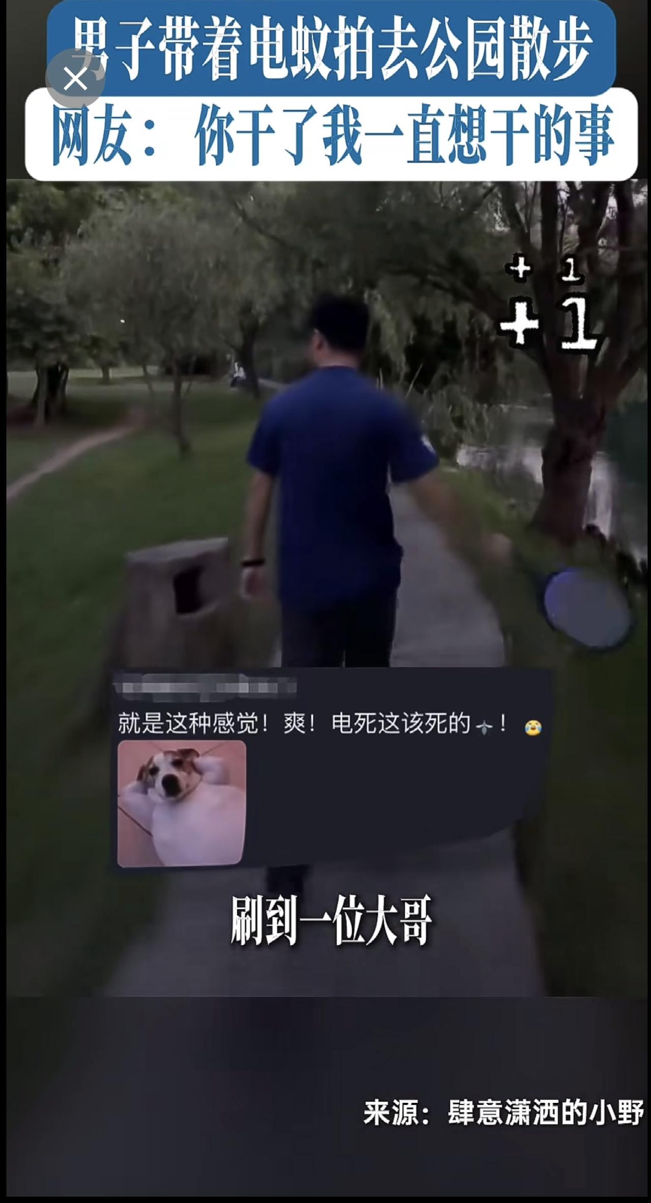 男子带着电蚊拍去公园散步，网友：你干了我一直想干的事[呲牙笑]（来源：肆意潇洒的小