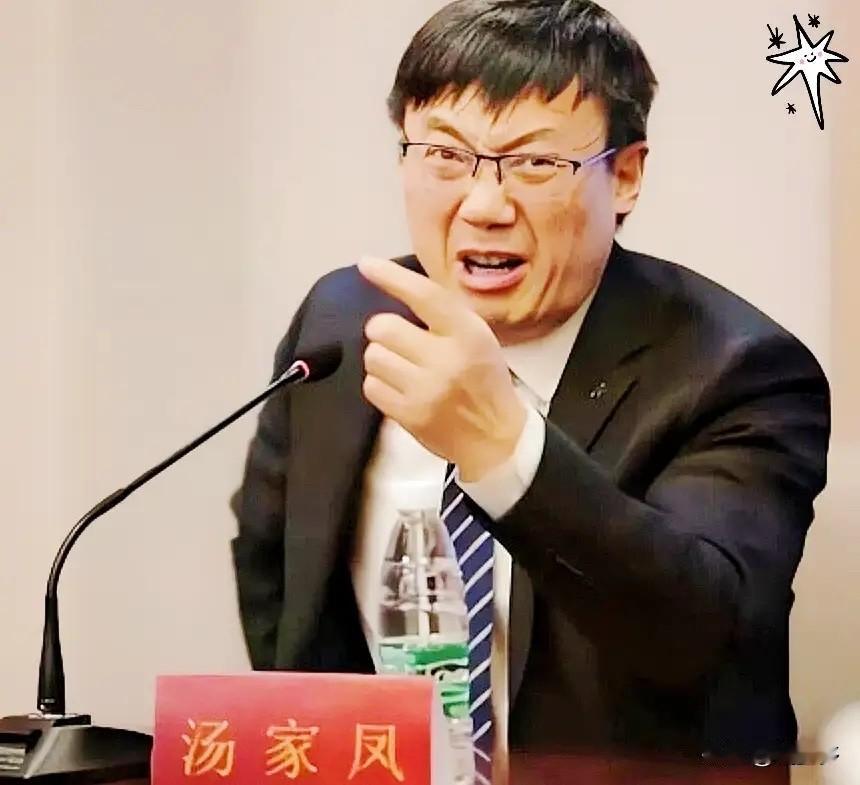 汤家凤今早发了条动态，比以往任何一次都狠。这层窗户纸，终于有人捅了。汤家