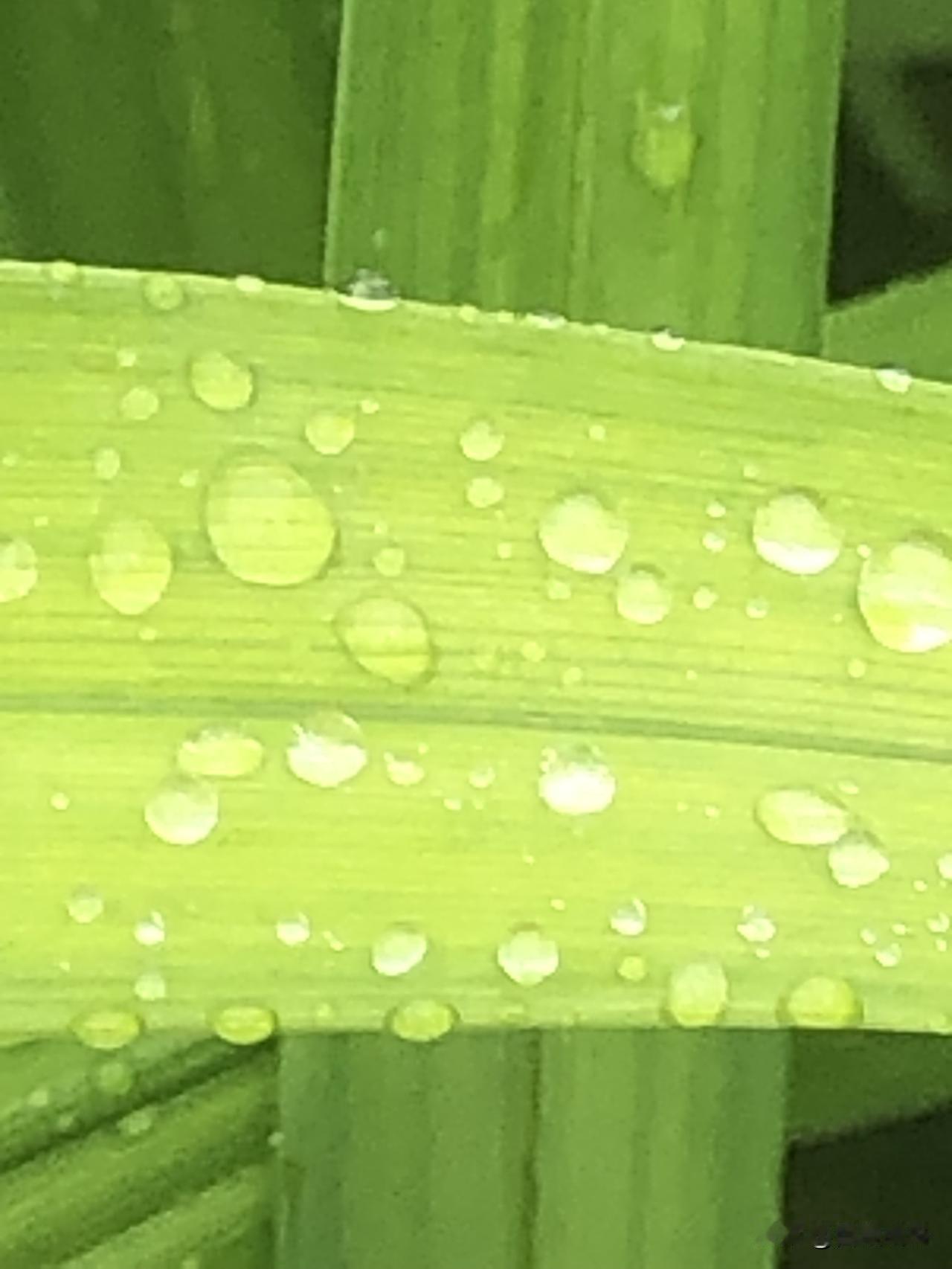 别吵翻了！郭德纲被立案，核心根本不是段子好不好笑最近这件事网上吵得不可开交，