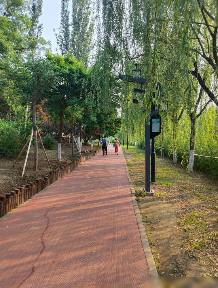 78岁的父亲之所以身体没有大毛病，他说是因为一直养成以下几个好习惯。以前我总