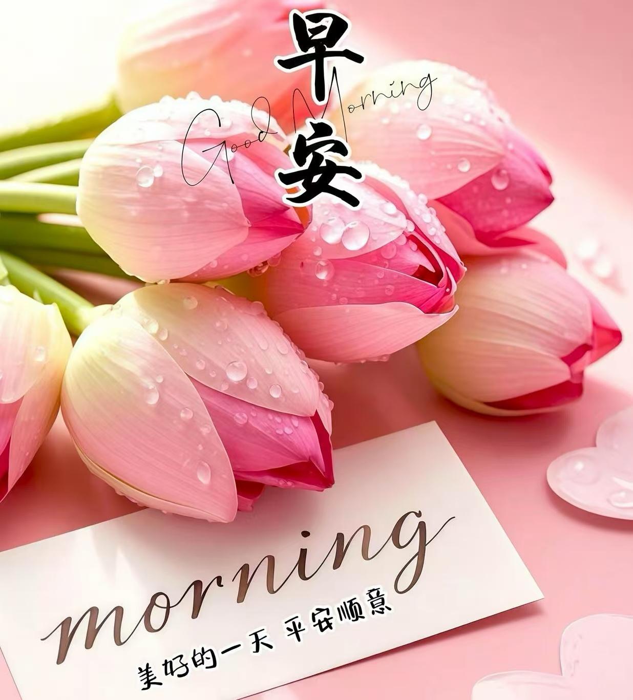 秋天秋色秋景美，秋風秋雨秋日涼，金秋問候暖心房，祝你金秋多開心，夜裏睡眠