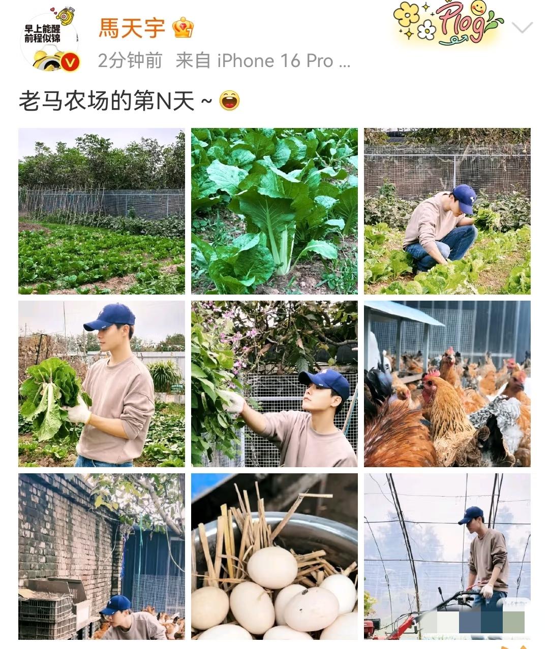 终于明白马天宇为什么要跑去种田养鸡了！哪是不红了、没资本关注，明明是他早看透
