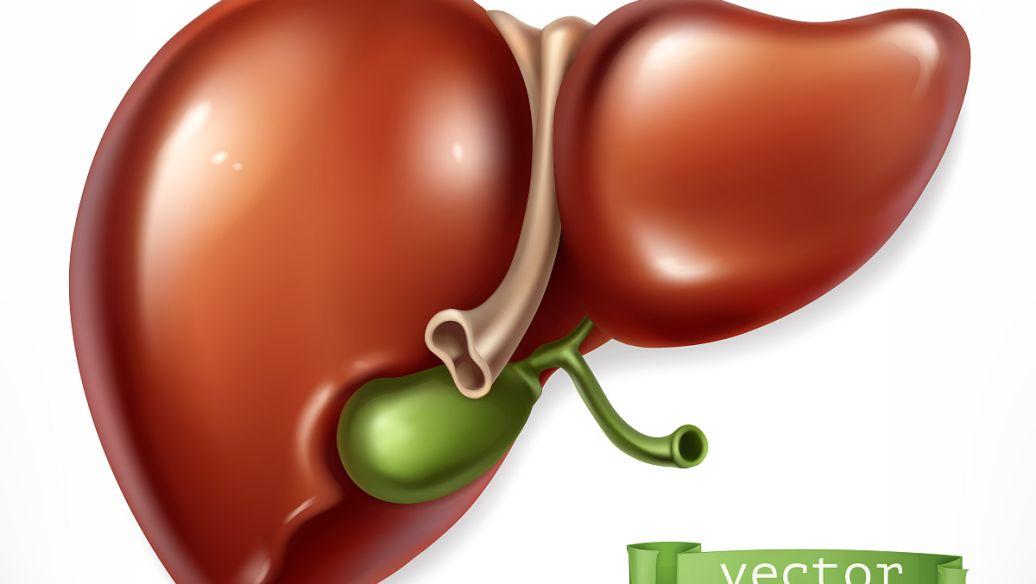 医生：一旦确诊肝囊肿，这4种食物必须控制，以免肝脏再次受损绝大多数肝囊肿属于