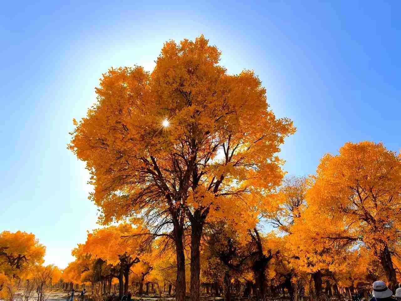 带定位晒今日生活今日状态轻松愉快，天气也相当给面子，是个多云天，这天气太适合出