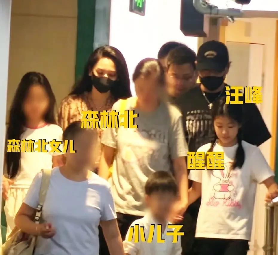 汪峰带四个孩子，和森林北聚餐！有大女儿小苹果，这是模特葛荟婕生的；二女儿汪璟怡，