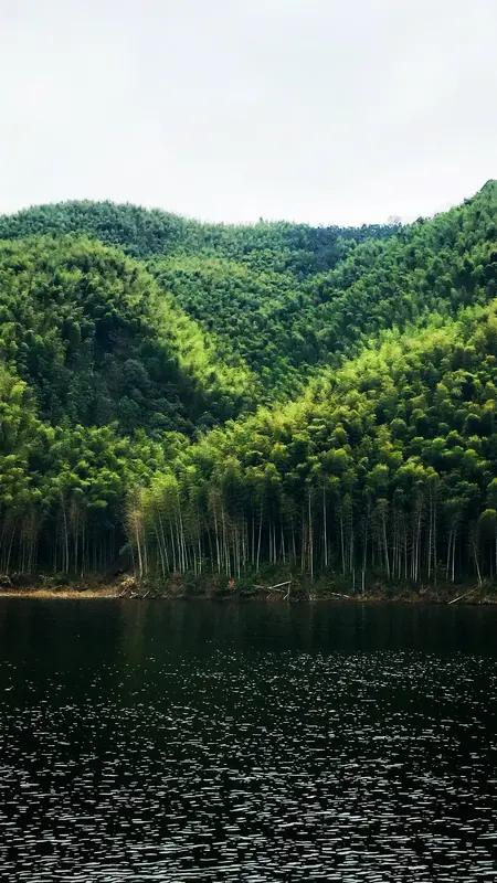 出发吧趁现在，声遇山海，醉入徽州水墨古韵春日向晚，晚风温柔拂面，心向水墨江南。
