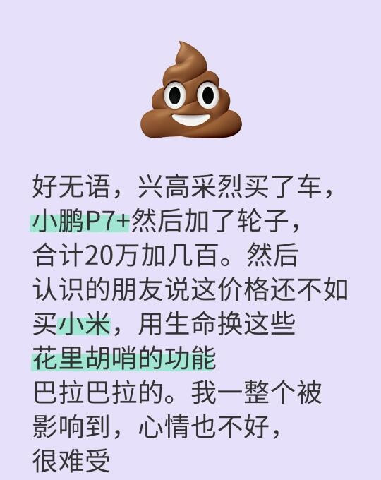 好无语，兴高采烈买了车，小鹏P7+然后加了轮子，合计20万加几百。然后认识的朋