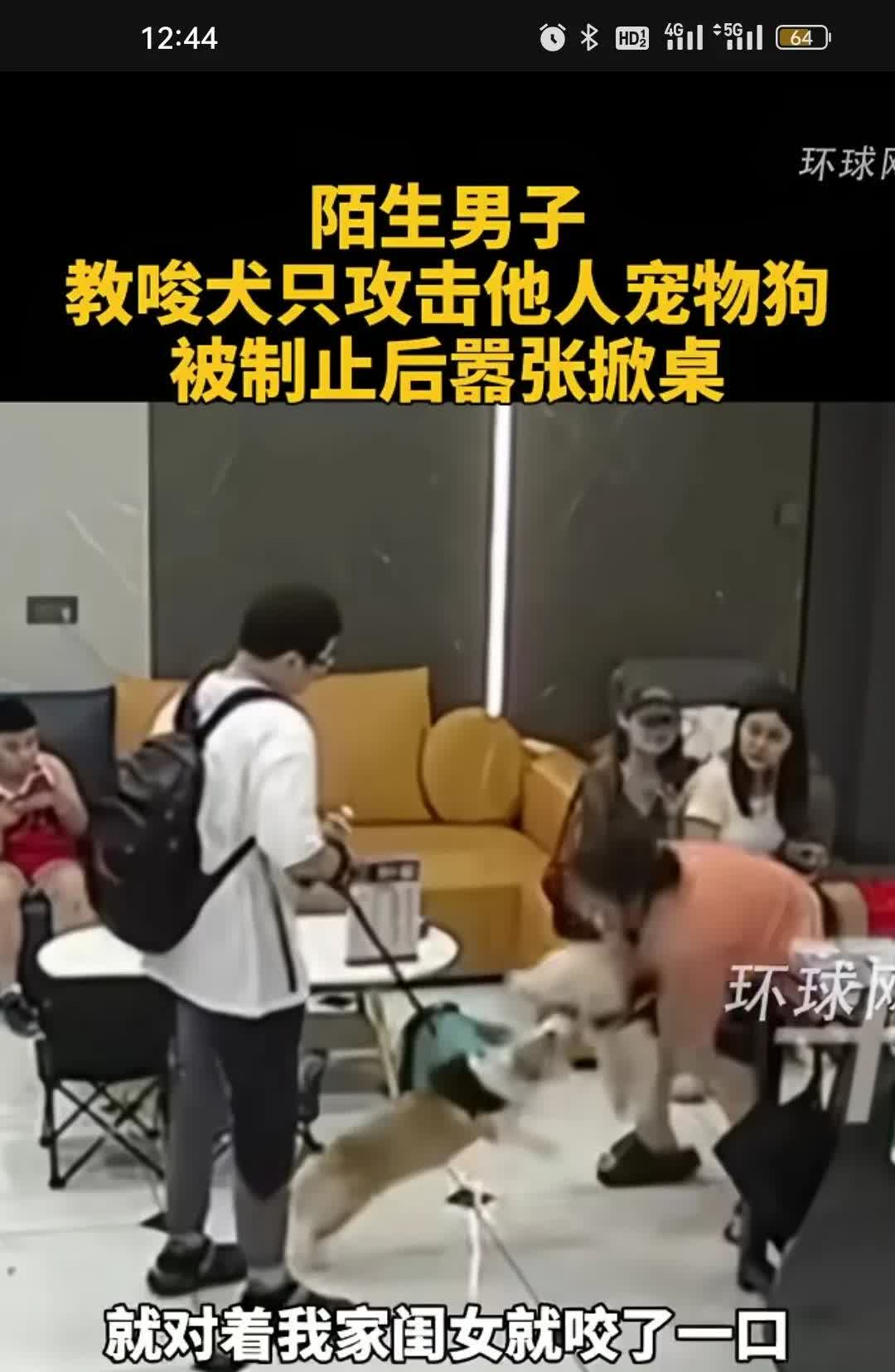 养狗可以理解，爱狗也能理解，把狗当成亲闺女还是有点接受不了。女子口口声声说我