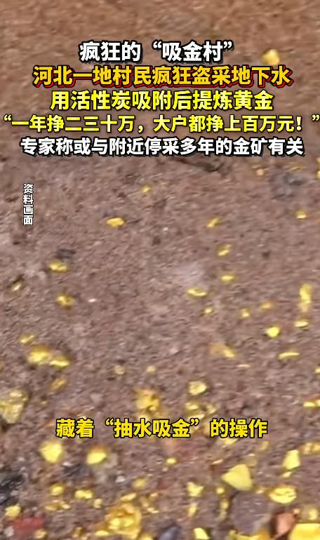 “太疯狂了！”河北一名村民抽取地下水时，意外发现其中含有黄金。他非但没有上报，反