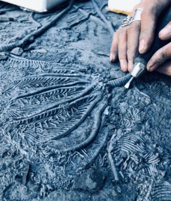 1996年，探险团队在俄罗斯的卡卢加，发现了一块特殊的石头！石头里嵌着个4.7厘