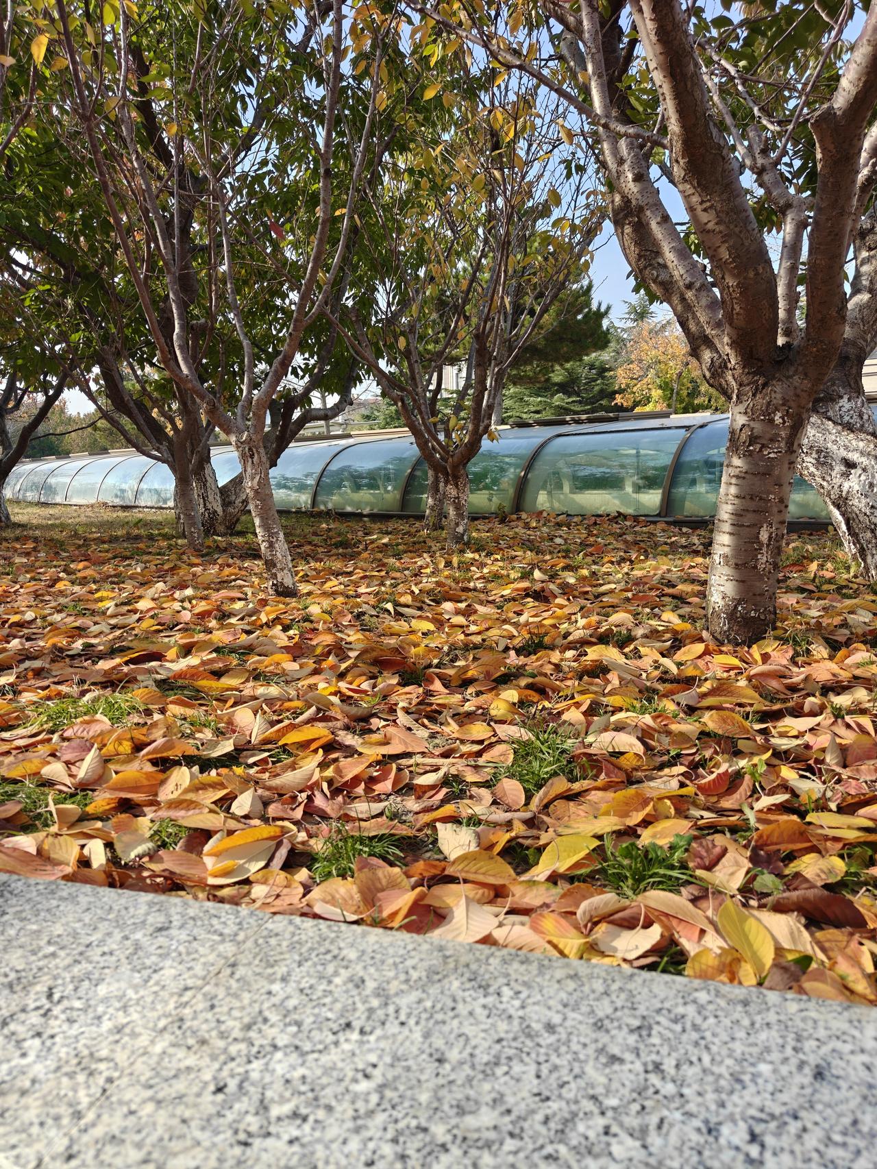 退休金有差别是正常的，因为在职时缴纳社保的数额不一样。但是，退休以后就都不工作了