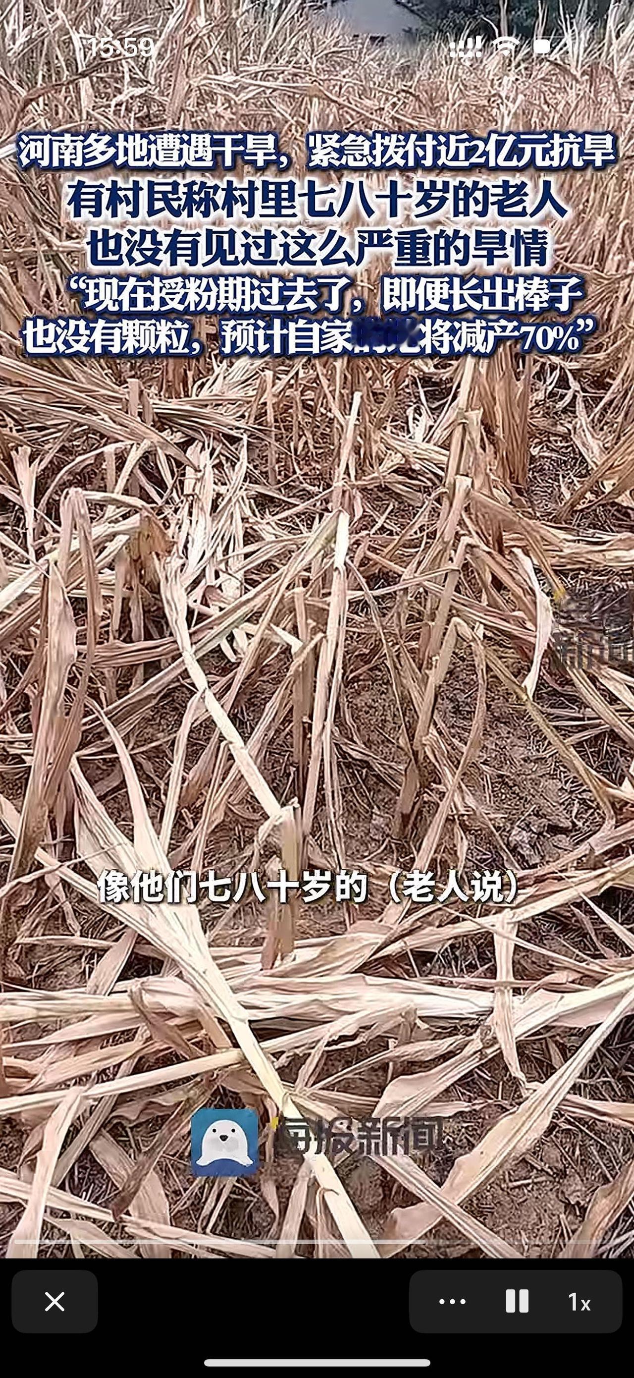 河南大旱，村民称七八十岁的人也没见过这么严重的旱情，预计自己的地会减产70%。