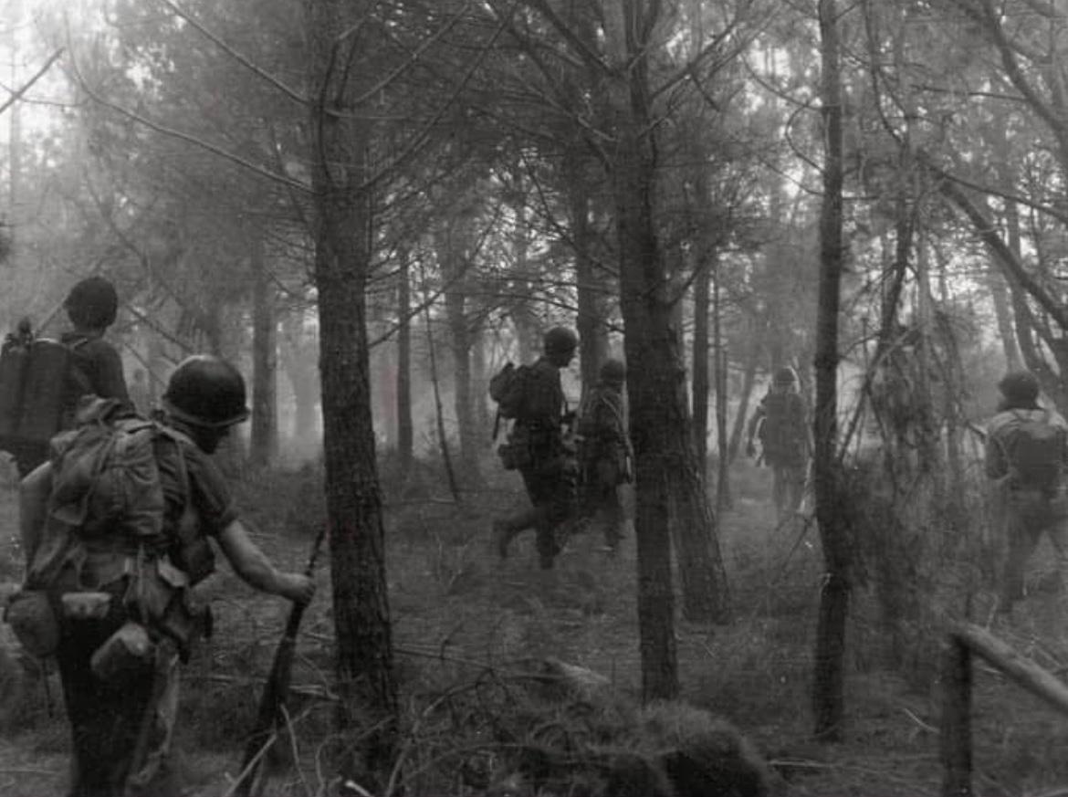 82年前的8月17日，美国第七集团军的士兵在“龙骑兵行动”中从法国南部海岸登陆后