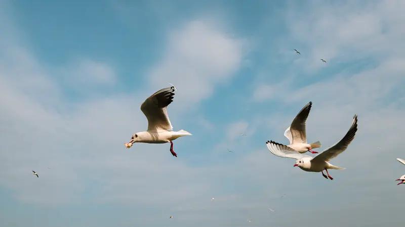 我这两天收入才二分钱。哈哈。我承认眼红几个大佬的收入，然后才觉得自己三天打鱼