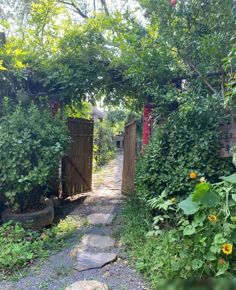 村里来了对退休夫妻，2000块一年租了间老屋，稀罕得不行。说真的，我们村这几